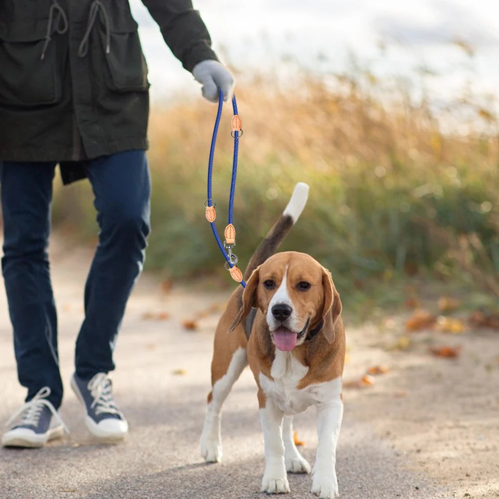 Multipurpose Hand Free Dog Double Leash