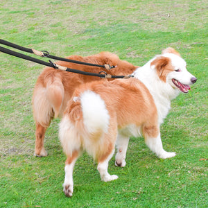 Multipurpose Hand Free Dog Double Leash