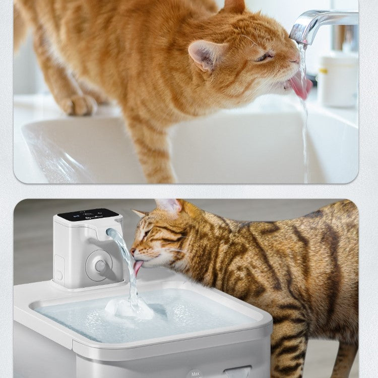 Wireless Pet Water Fountain With Motion Sensor