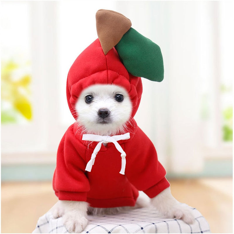 Pet Hoodie Sweatshirt - Frog/ Banana/ Apple/ Carrot/ Reindeer/ Heart