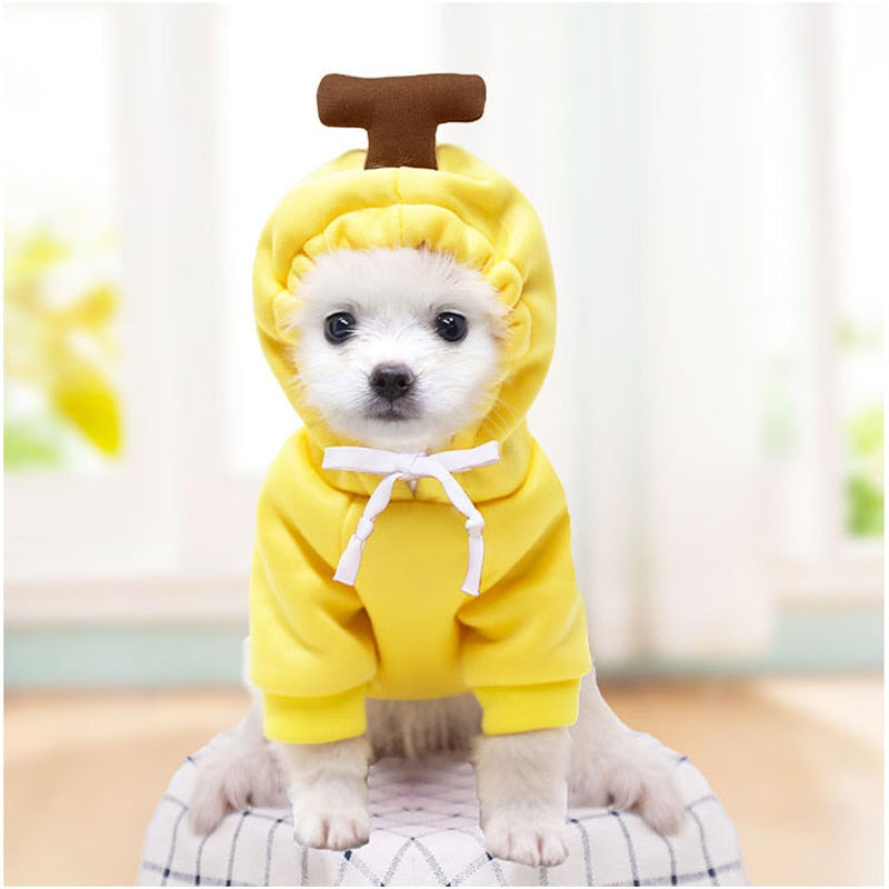 Pet Hoodie Sweatshirt - Frog/ Banana/ Apple/ Carrot/ Reindeer/ Heart