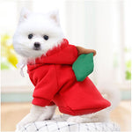 Load image into Gallery viewer, Pet Hoodie Sweatshirt - Frog/ Banana/ Apple/ Carrot/ Reindeer/ Heart
