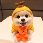 Load image into Gallery viewer, Pet Hoodie Sweatshirt - Frog/ Banana/ Apple/ Carrot/ Reindeer/ Heart
