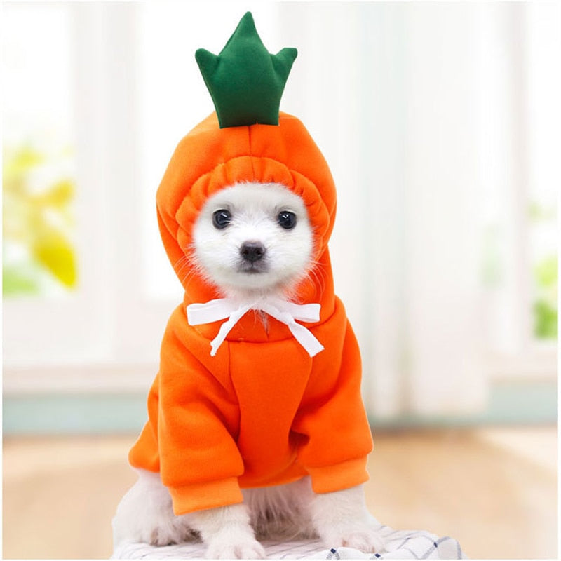 Pet Hoodie Sweatshirt - Frog/ Banana/ Apple/ Carrot/ Reindeer/ Heart