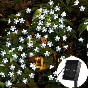 Solar String LED Lights - Cherry/ Chrysanthemum/ Lotus/ Snowflake