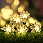 Load image into Gallery viewer, Solar String LED Lights - Cherry/ Chrysanthemum/ Lotus/ Snowflake
