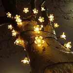 Load image into Gallery viewer, Solar String LED Lights - Cherry/ Chrysanthemum/ Lotus/ Snowflake
