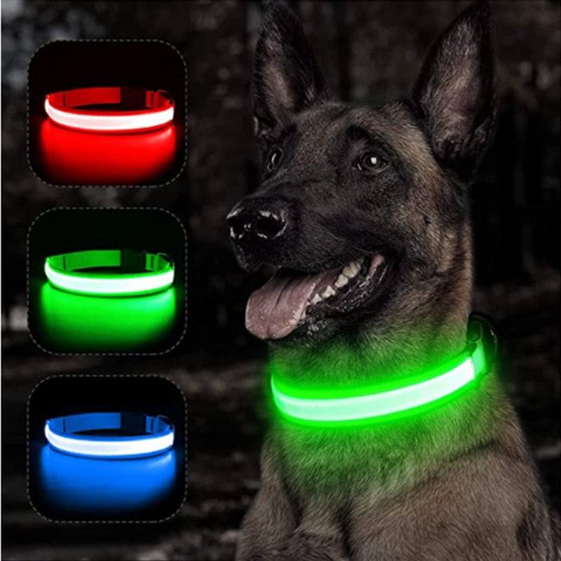 Adjustable Luminous Pet Collar