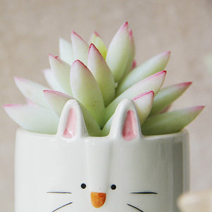 Animal Shaped Mini Pot