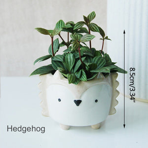 Animal Shaped Mini Pot