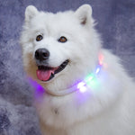 Load image into Gallery viewer, Pet Dog LED Collar
