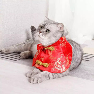 Pet Asian Spring Festival Cape With Red Envelope