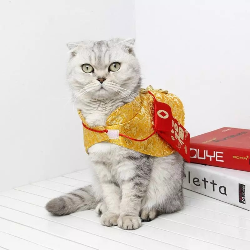 Pet Asian Spring Festival Cape With Red Envelope