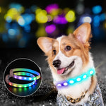 Load image into Gallery viewer, rechargeable pet dog LED collar (TakaraCorner.com)
