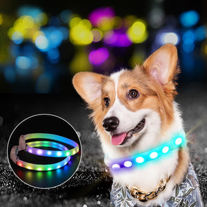 rechargeable pet dog LED collar (TakaraCorner.com)