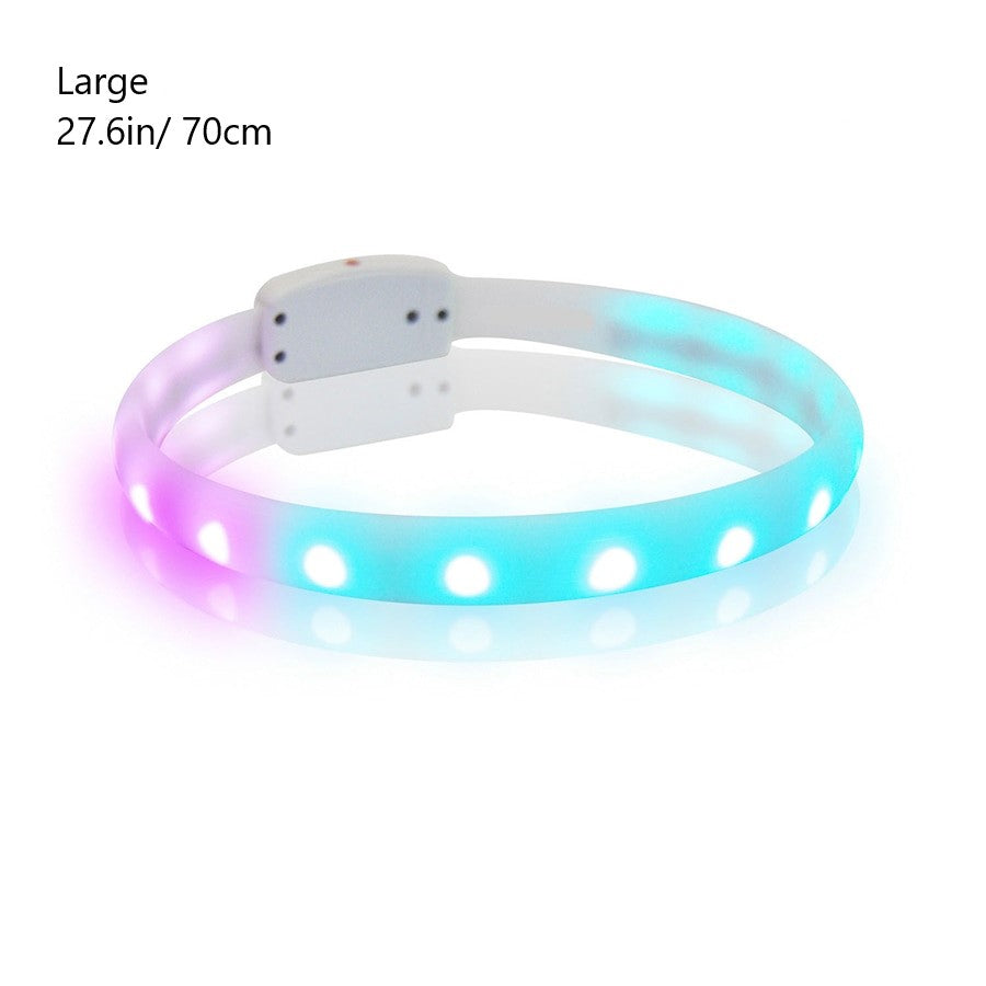 Pet Dog LED Collar