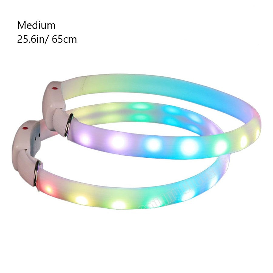 Pet Dog LED Collar