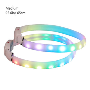 Pet Dog LED Collar