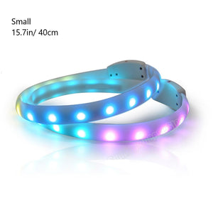 Pet Dog LED Collar