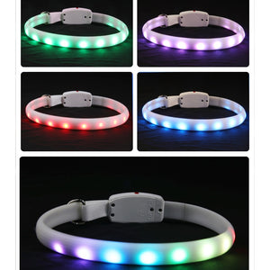 Pet Dog LED Collar