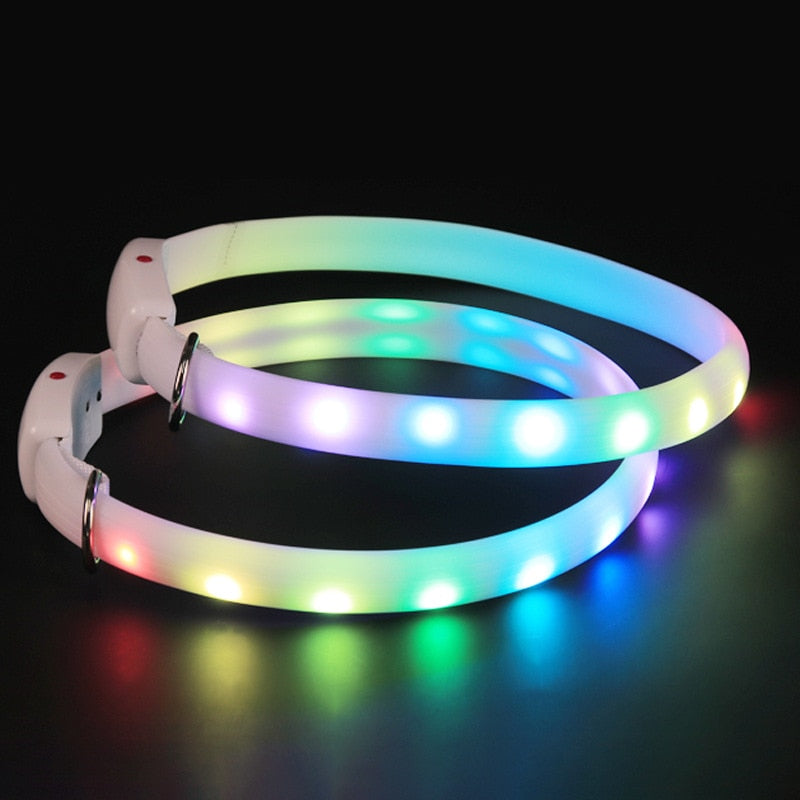 USB rechargeable pet dog LED light collar (TakaraCorner.com)