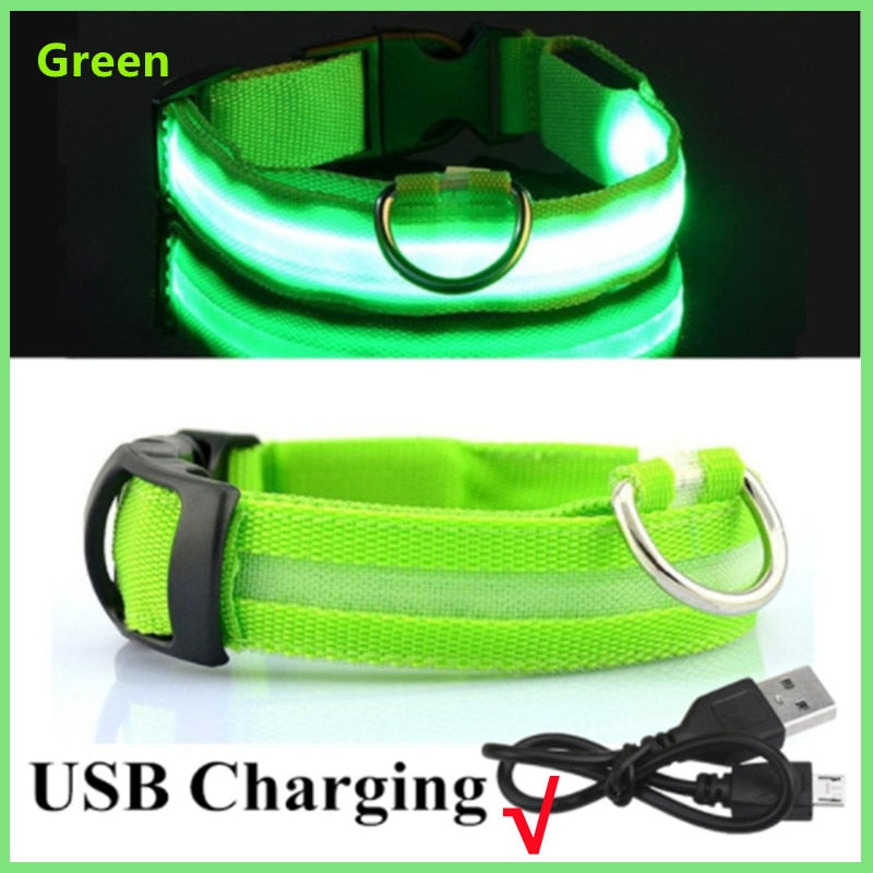 Adjustable Luminous Pet Collar