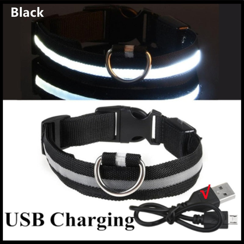 Adjustable Luminous Pet Collar