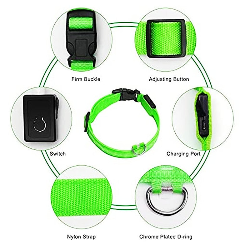 Adjustable Luminous Pet Collar