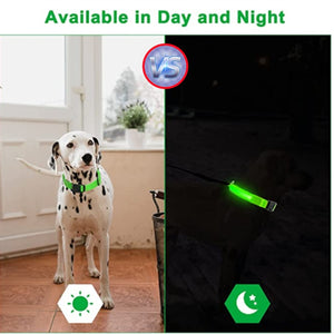 Adjustable Luminous Pet Collar