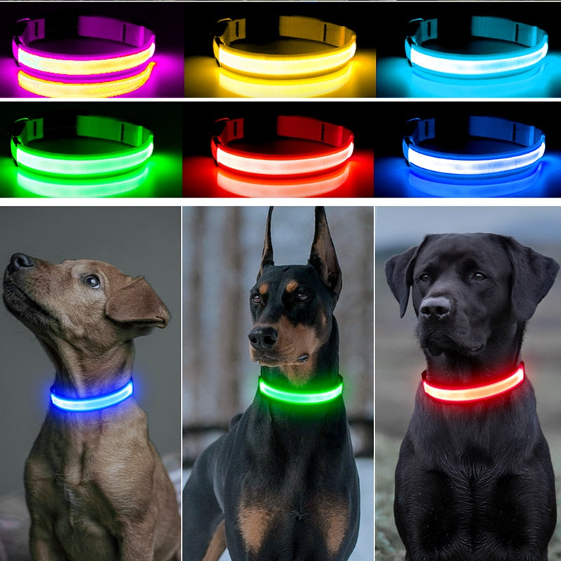 Adjustable Luminous Pet Collar