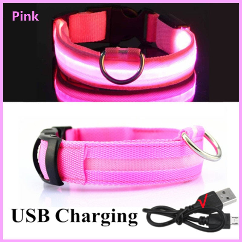 Adjustable Luminous Pet Collar