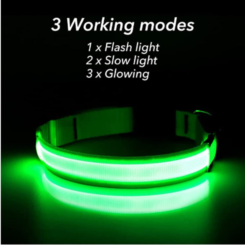 Adjustable Luminous Pet Collar