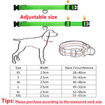 Load image into Gallery viewer, Adjustable Luminous Pet Collar
