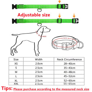 Adjustable Luminous Pet Collar