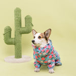 Load image into Gallery viewer, Waterproof Raincoat For Small Medium Pets
