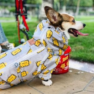 Waterproof Raincoat For Small Medium Pets