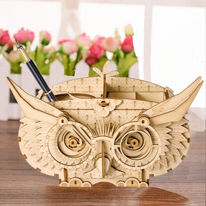 DIY 3D Wooden Puzzle Toys - Owl Box