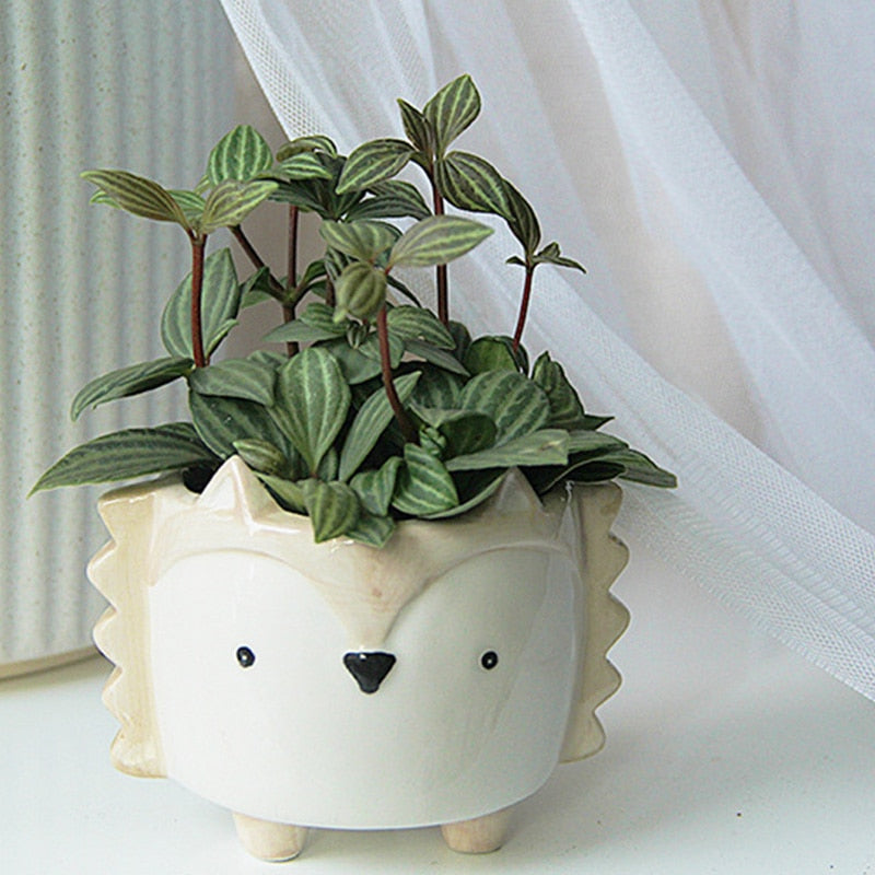 Animal Shaped Mini Pot