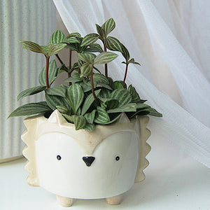 Animal Shaped Mini Pot