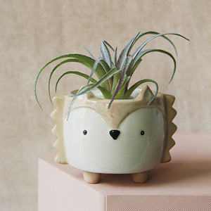 Animal Shaped Mini Pot