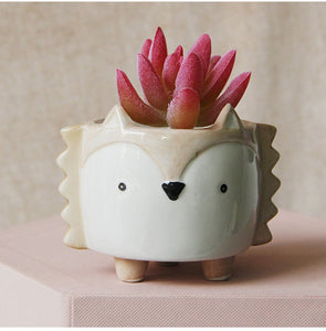 Animal Shaped Mini Pot